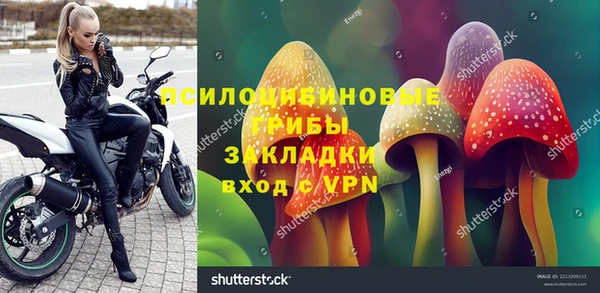 гидра Алексеевка